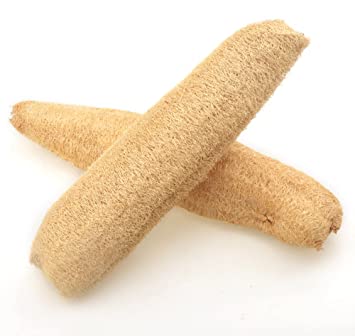Luffa Sponge