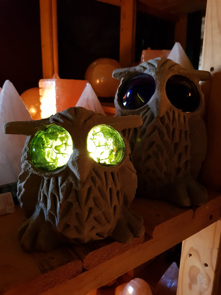 Nieu Bethesda Owls