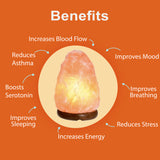 Himalayan Salt Lamp X-Large 7-10kg