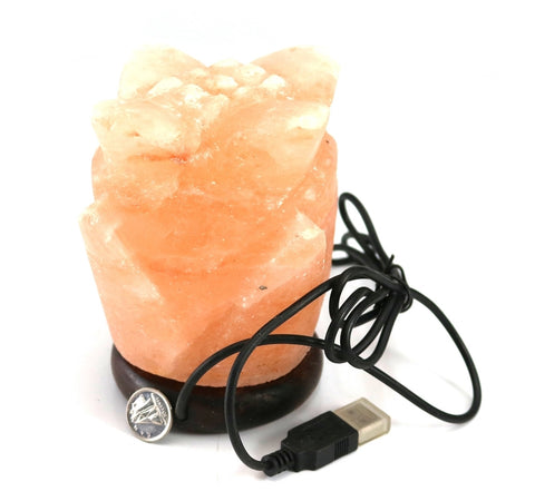 Flower USB Salt Lamp XSmall