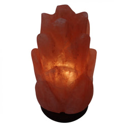 Pineapple Rose Himalayan Salt Lamp